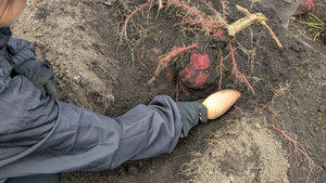 Pxl_20251105_010913184